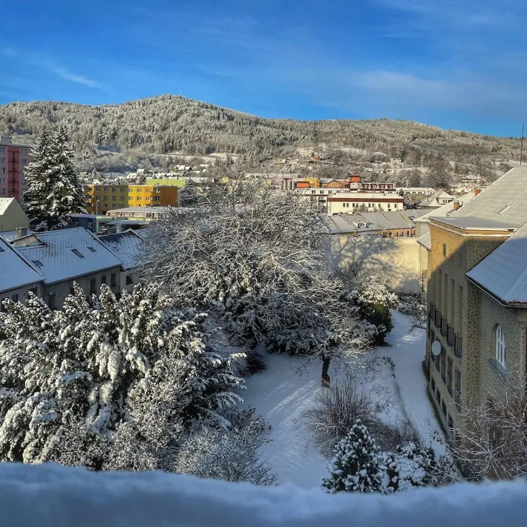 Apartmány Bašta & Wellness