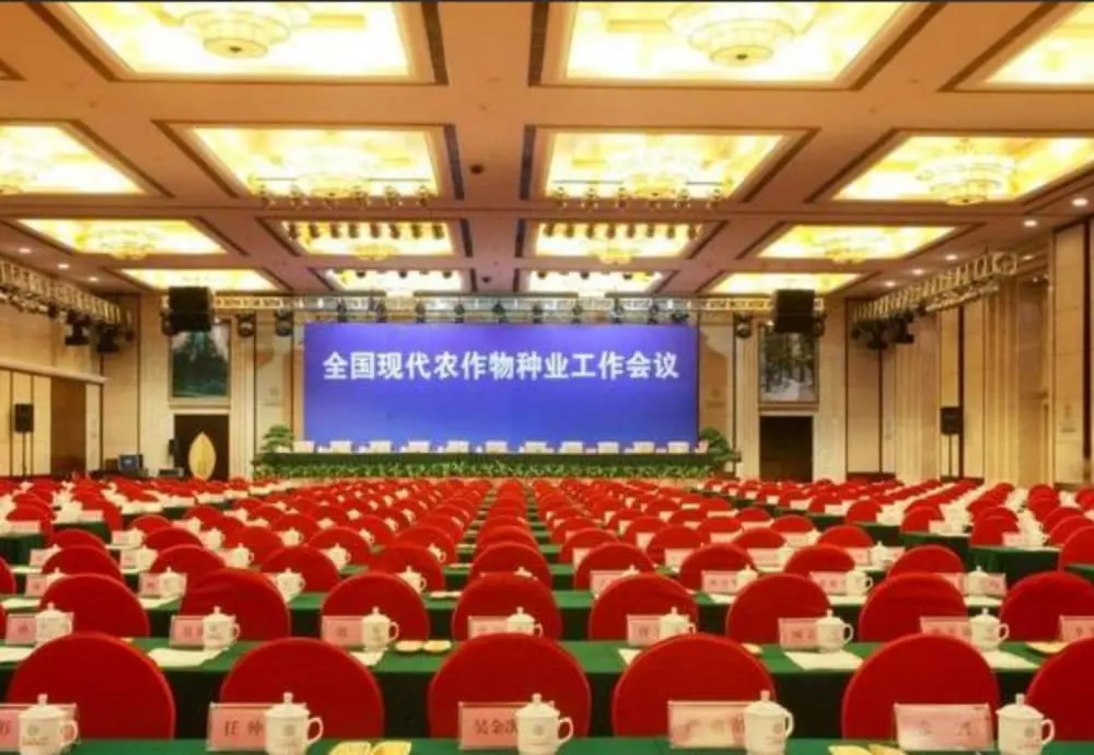 Vaya International Hotel