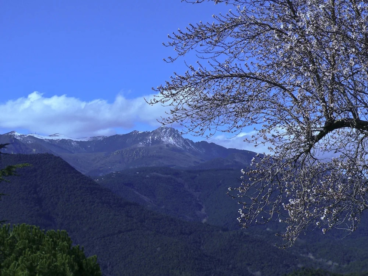 Villa Hortensia CasasMontseny CostaBrava