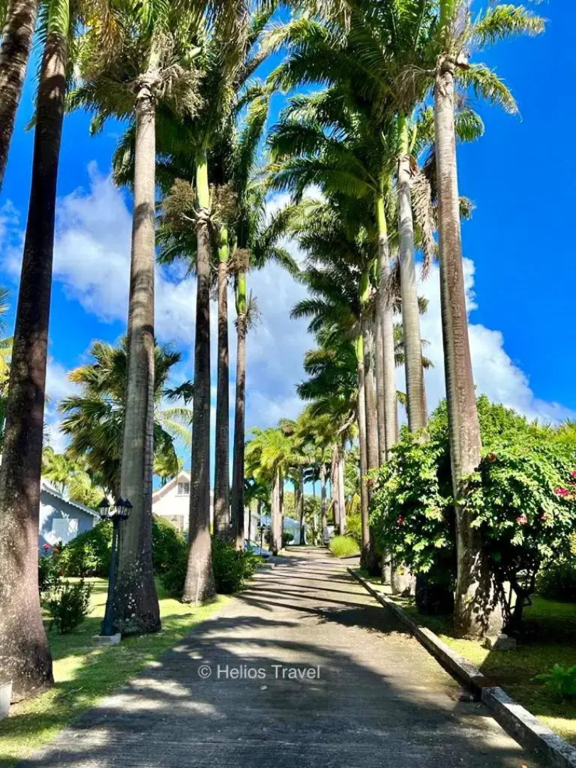 Villa Sisley, 4/6p, piscine privée, plage à 100 m