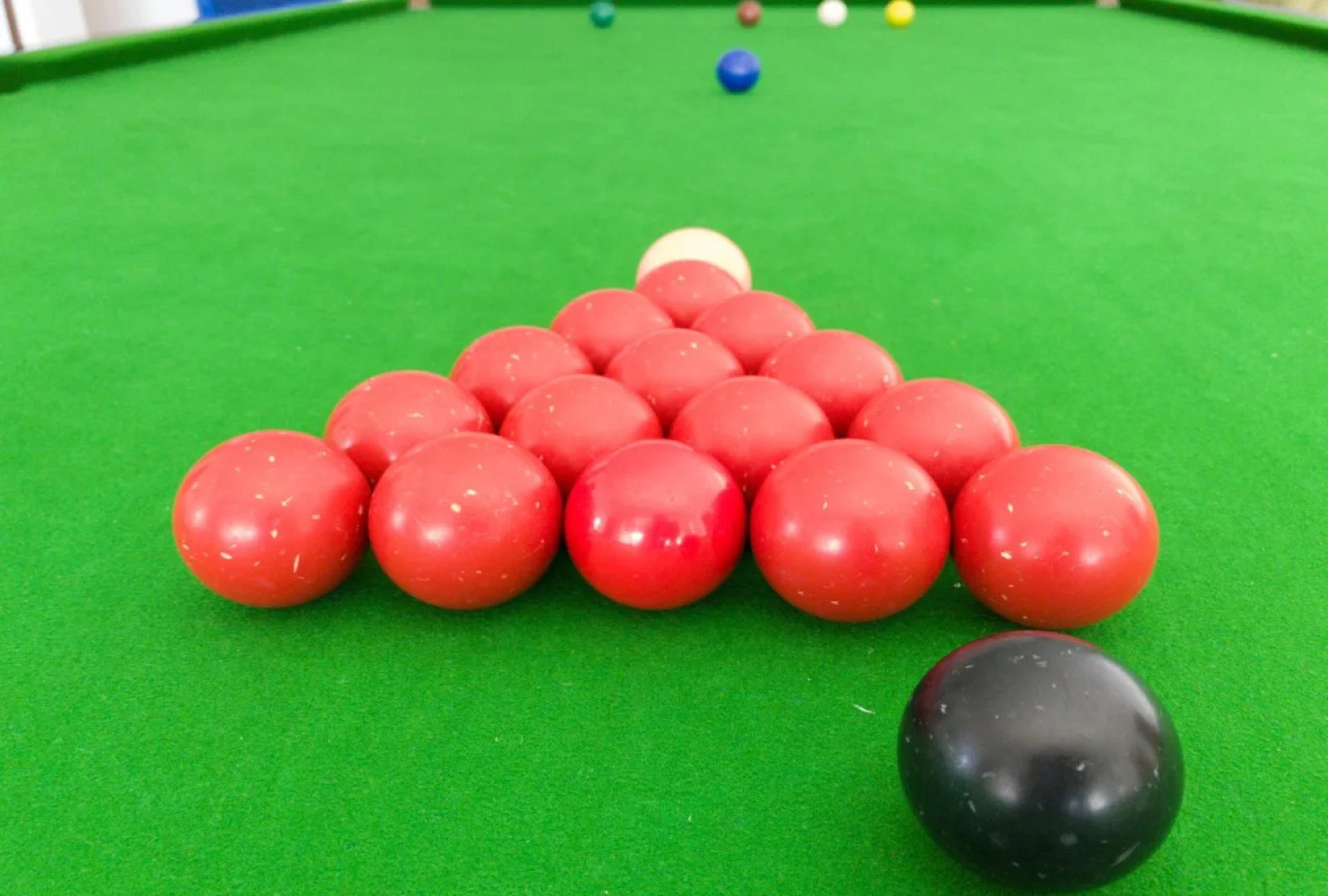 Dear Dino Villa Cameron Highlands