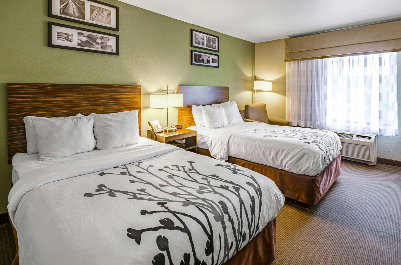 Sleep Inn Boone University Area