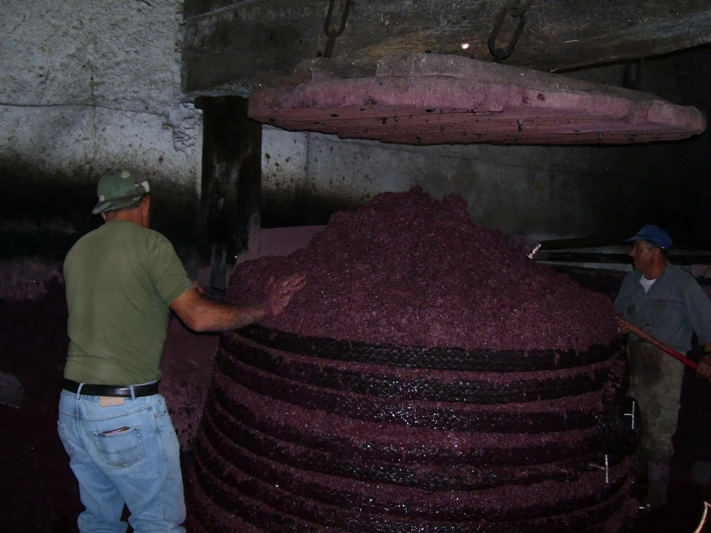 Etna Wine Azienda Agrituristica