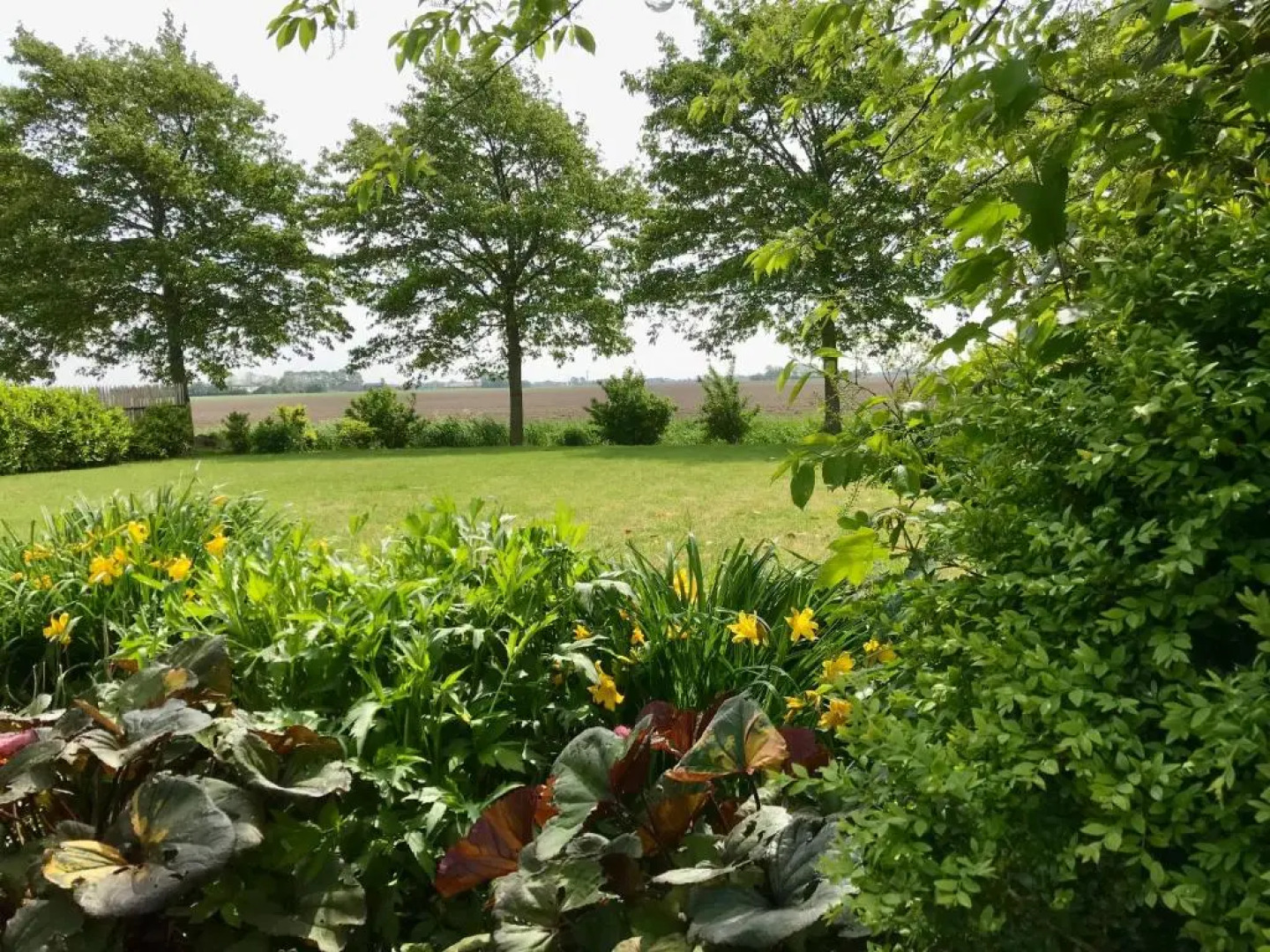 Vakantiehuis Tzummarum