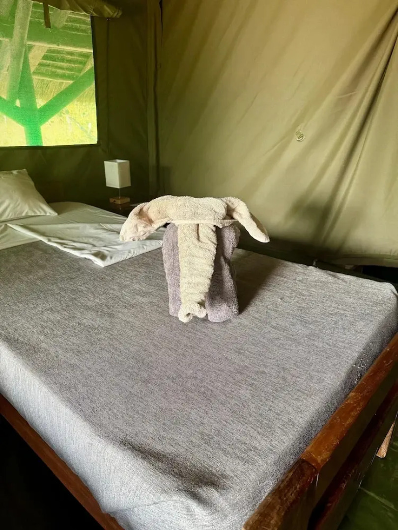 Bwana Tembo Safari Camp