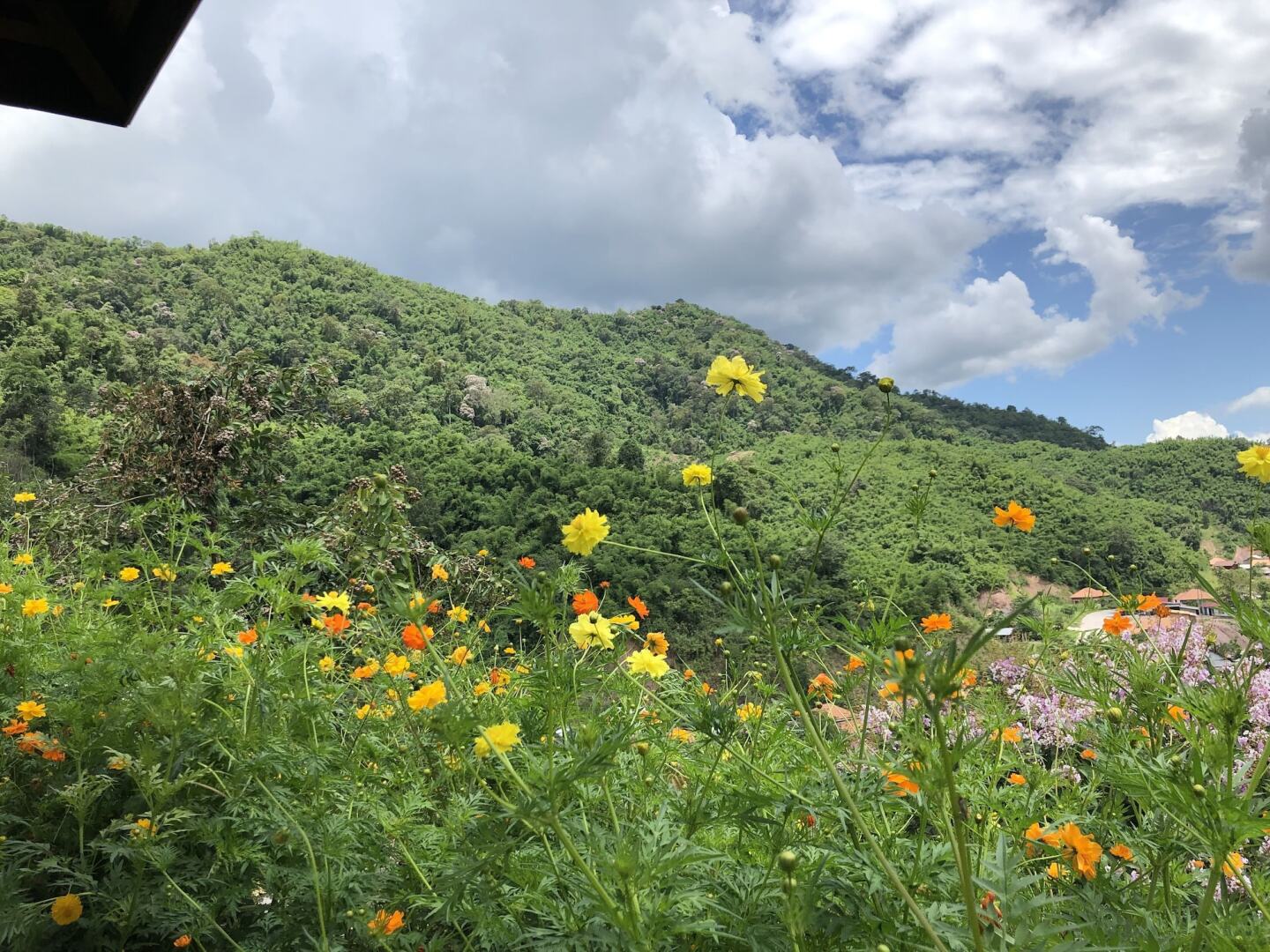 Le Grand Pakbeng Resort