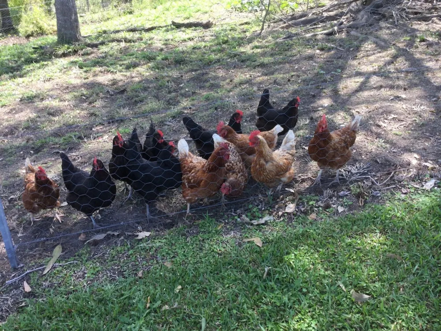 The Croft Bed and Breakfast