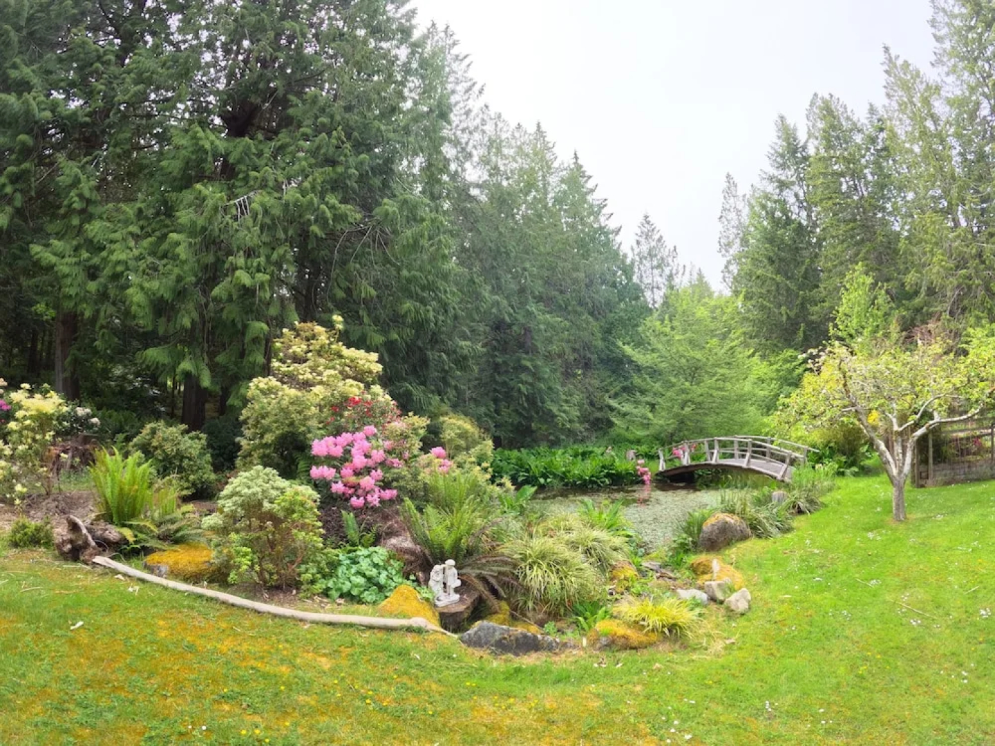Sea La Vie Rare Peaceful Hidden Gem