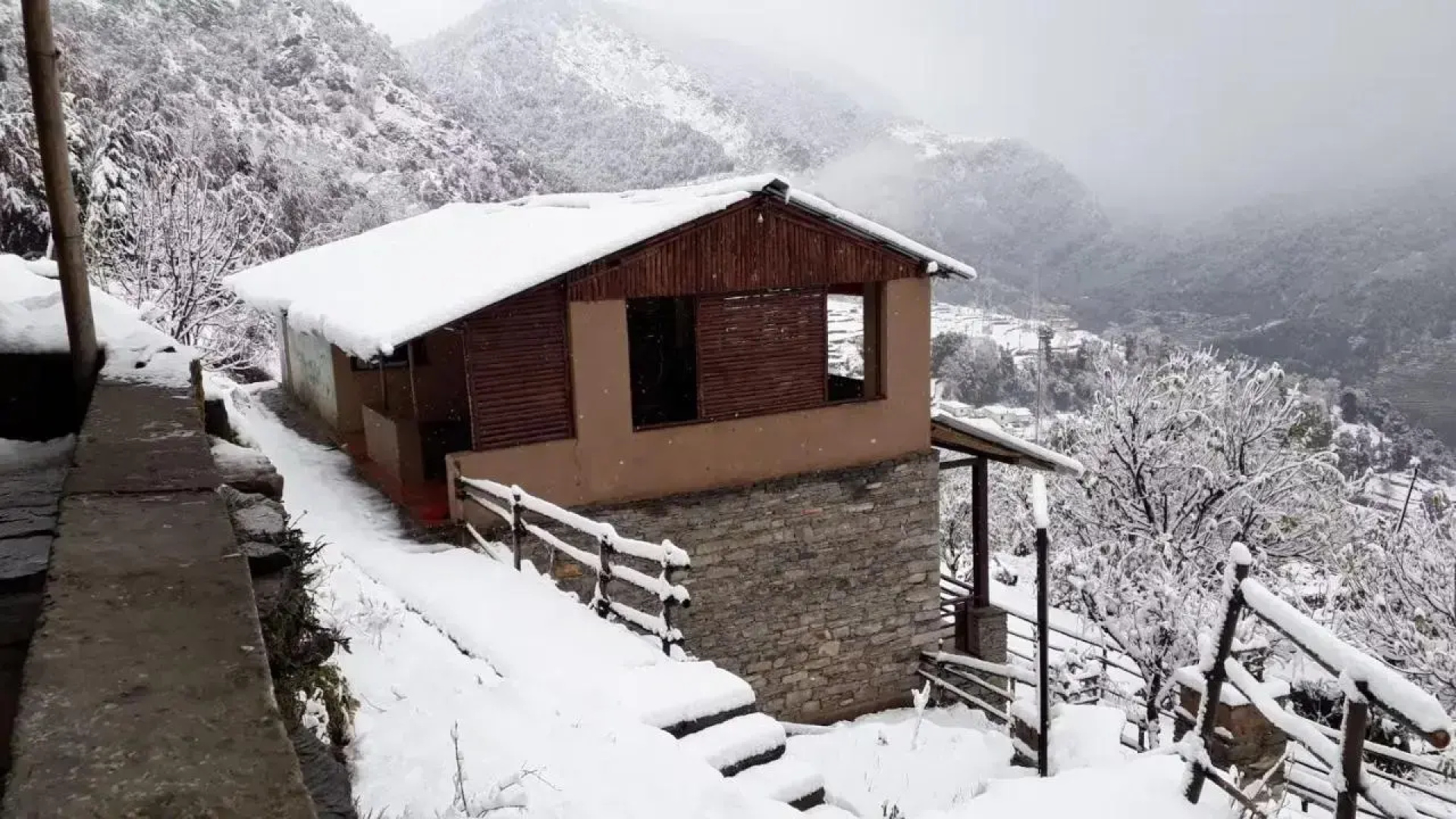 The Buransh