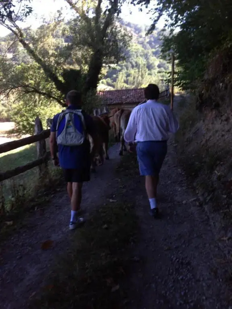 Apartamentos Casa María Juanín