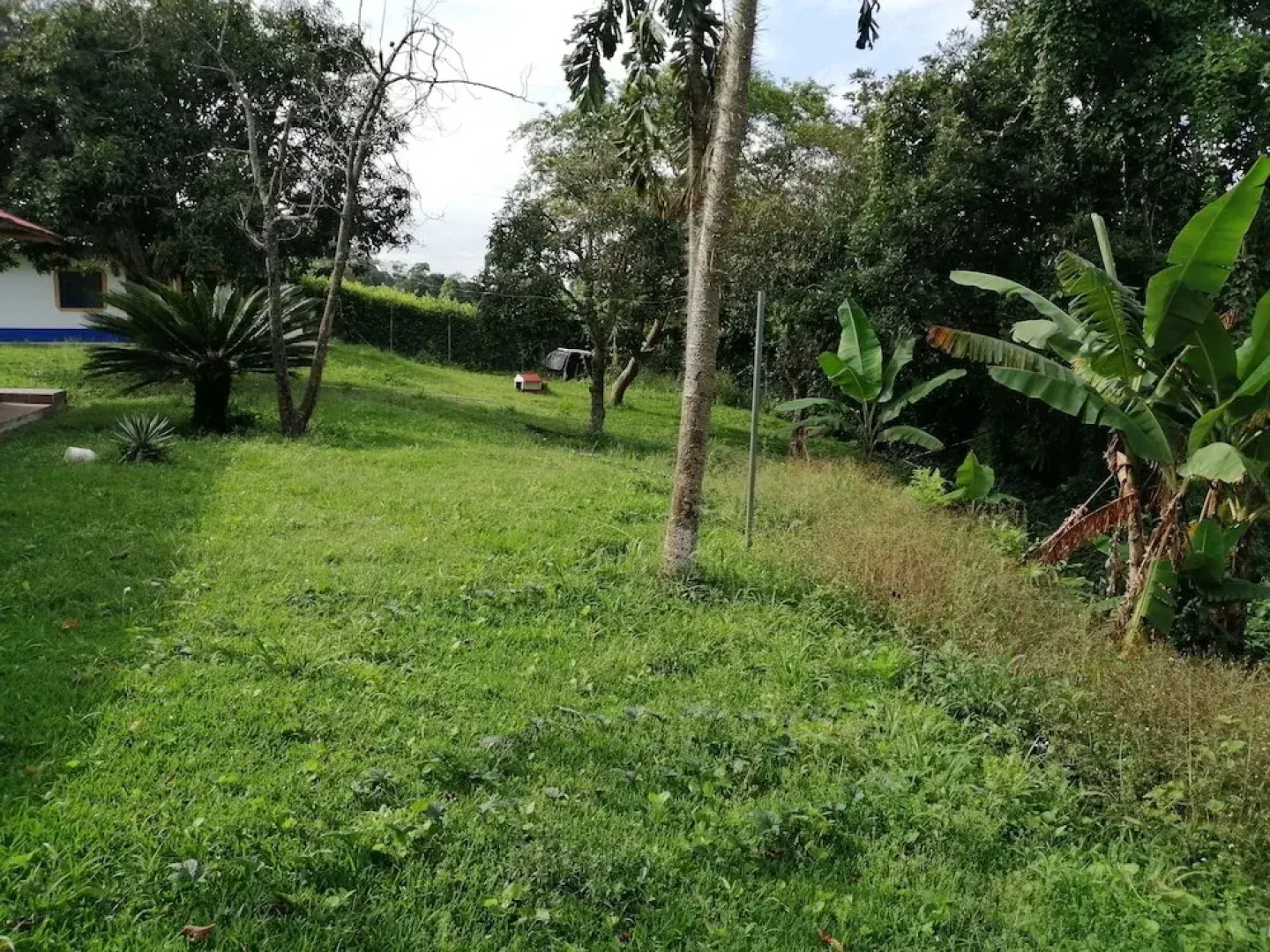 Finca Hotel Macadamia