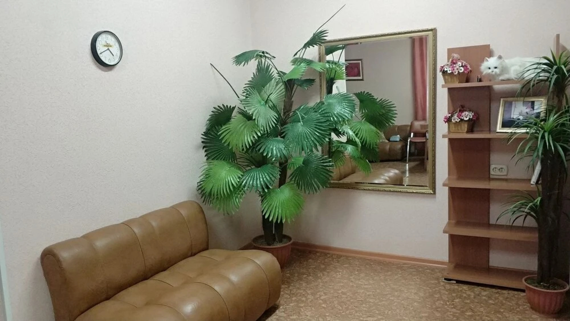 Белый Кот
