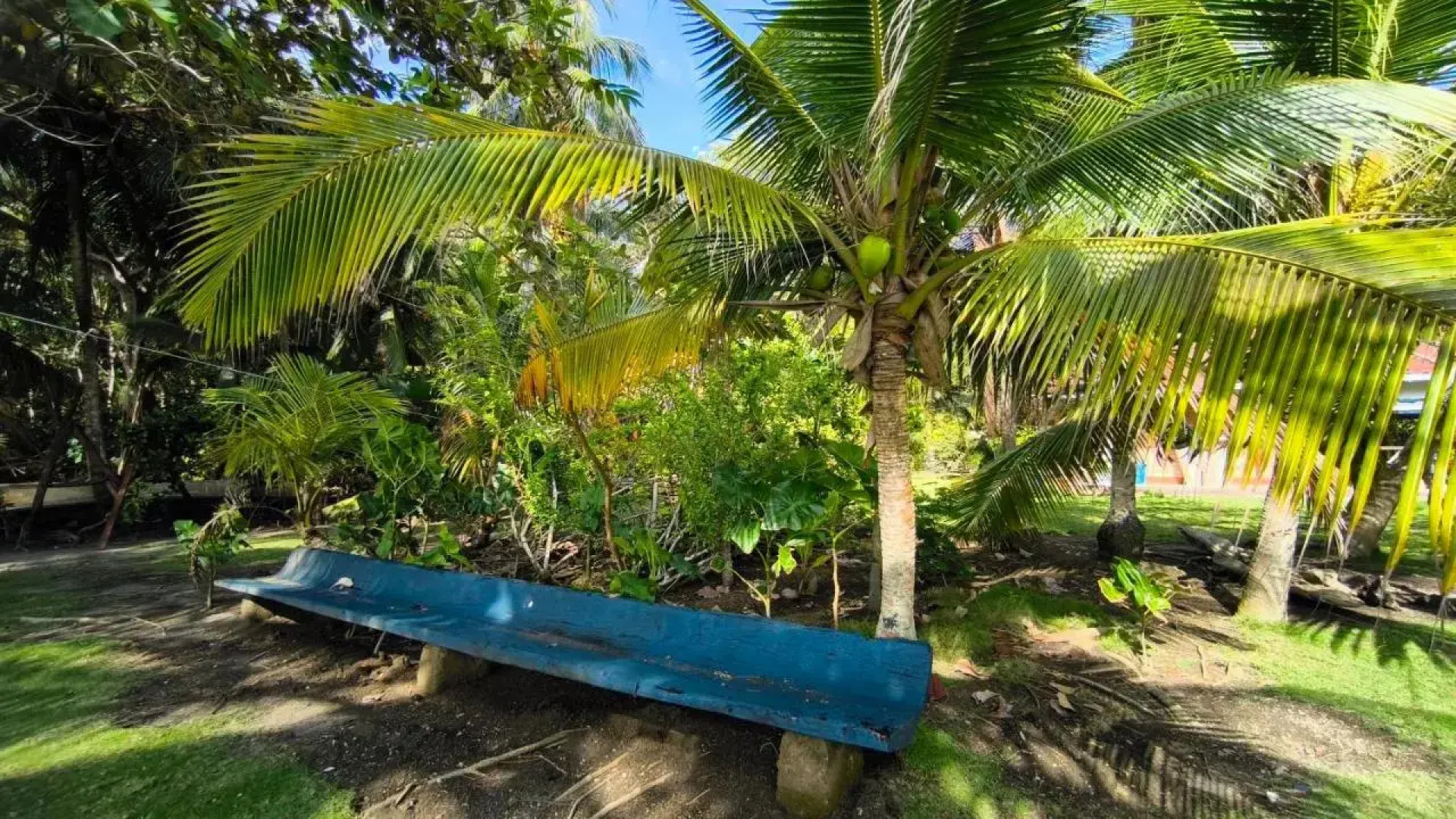 Tiki Lounge Necoclí