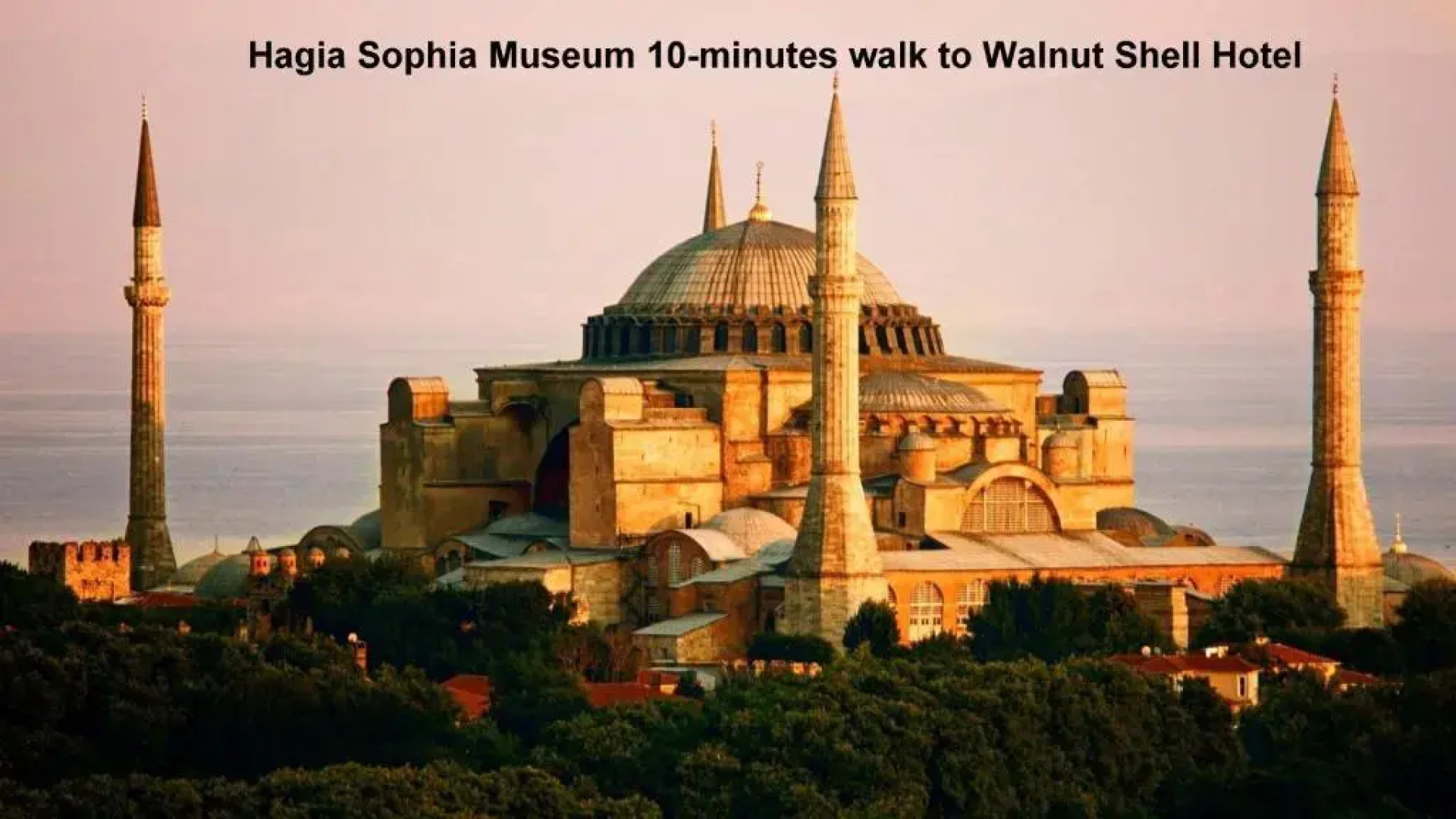 Walnut Shell Hotel