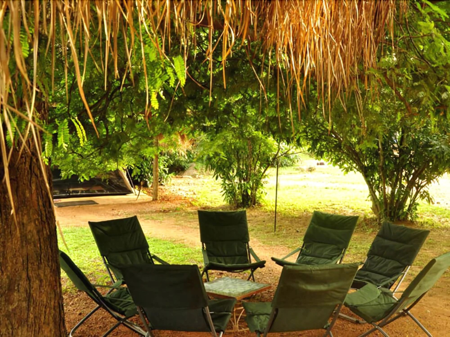 Palpatha Eco Safari Lodge