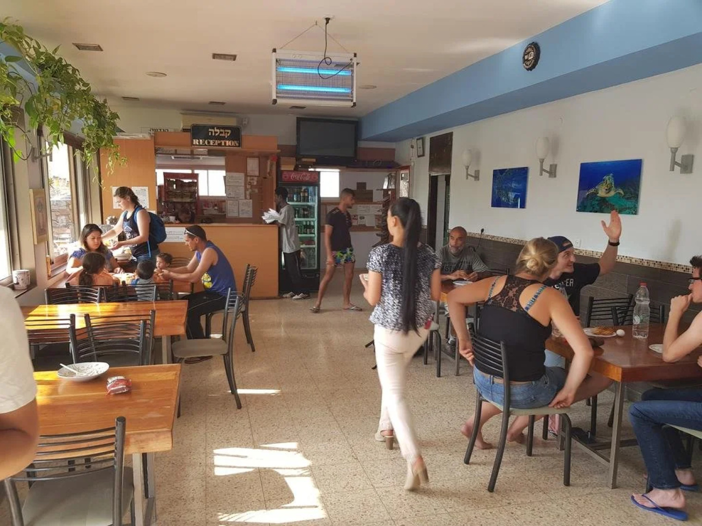 Arava Hostel