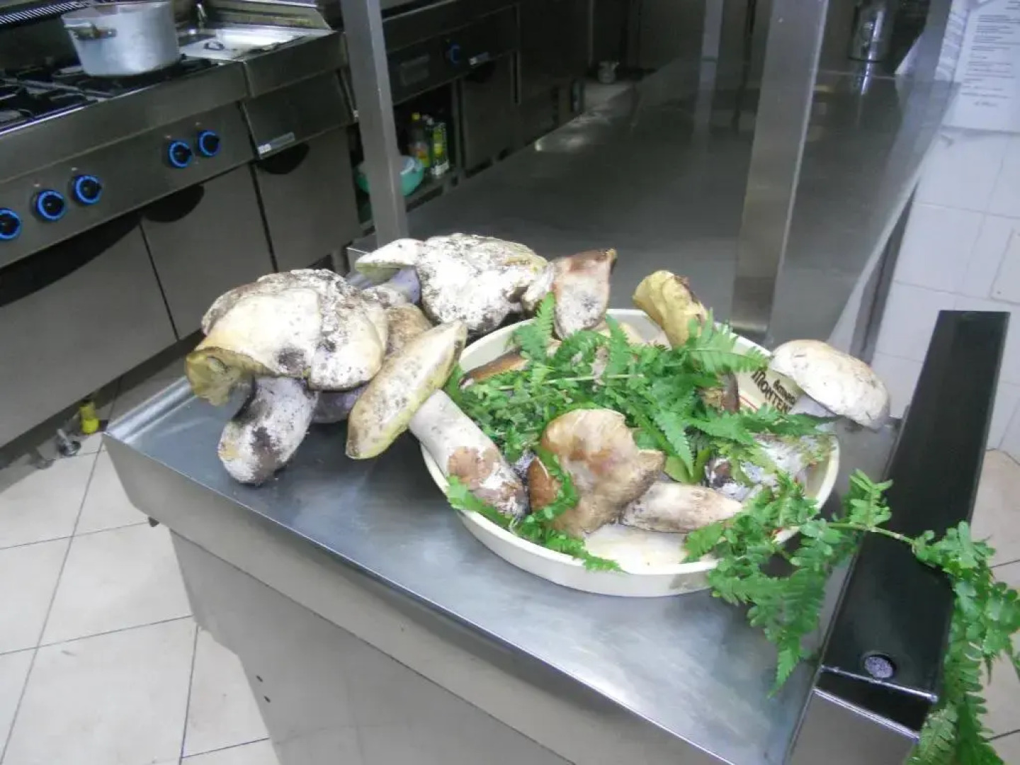 Albergo Ristorante La Bocca di Bacco