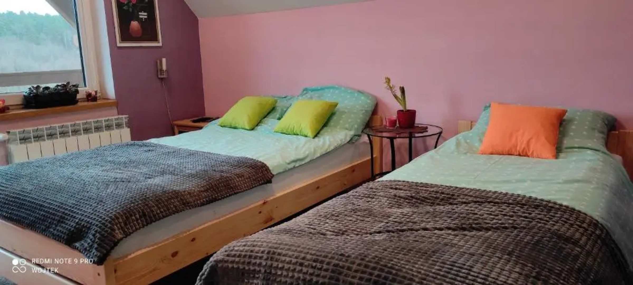 Agroturystyka w Świcie