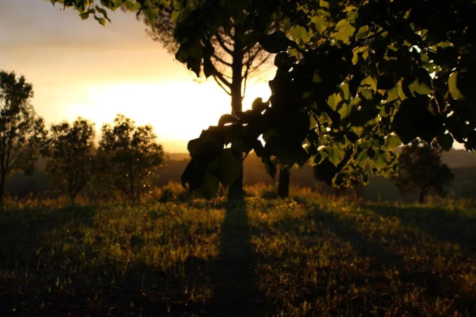 Villa Mirella Country House