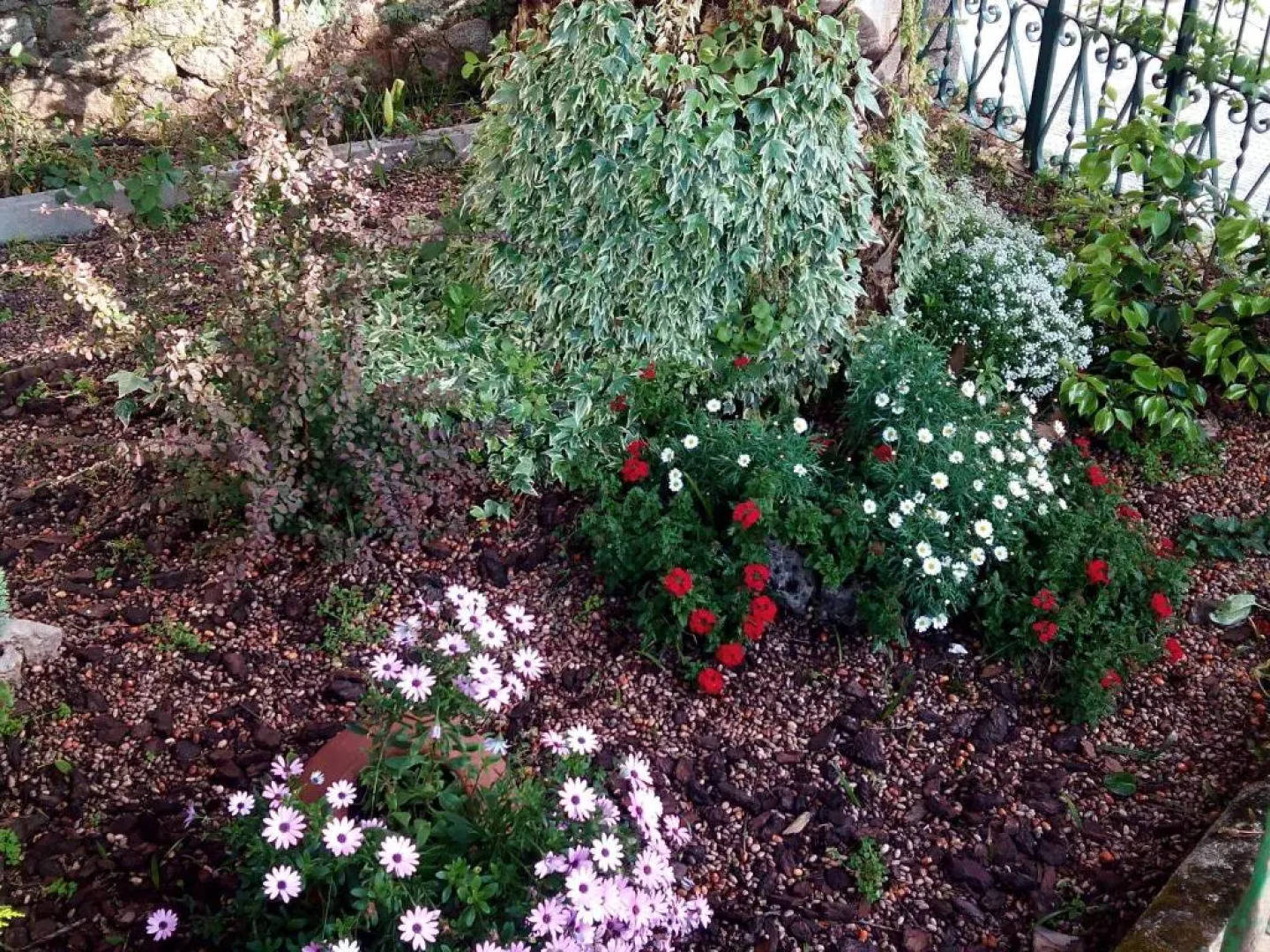 Casa Jardín de la Plata