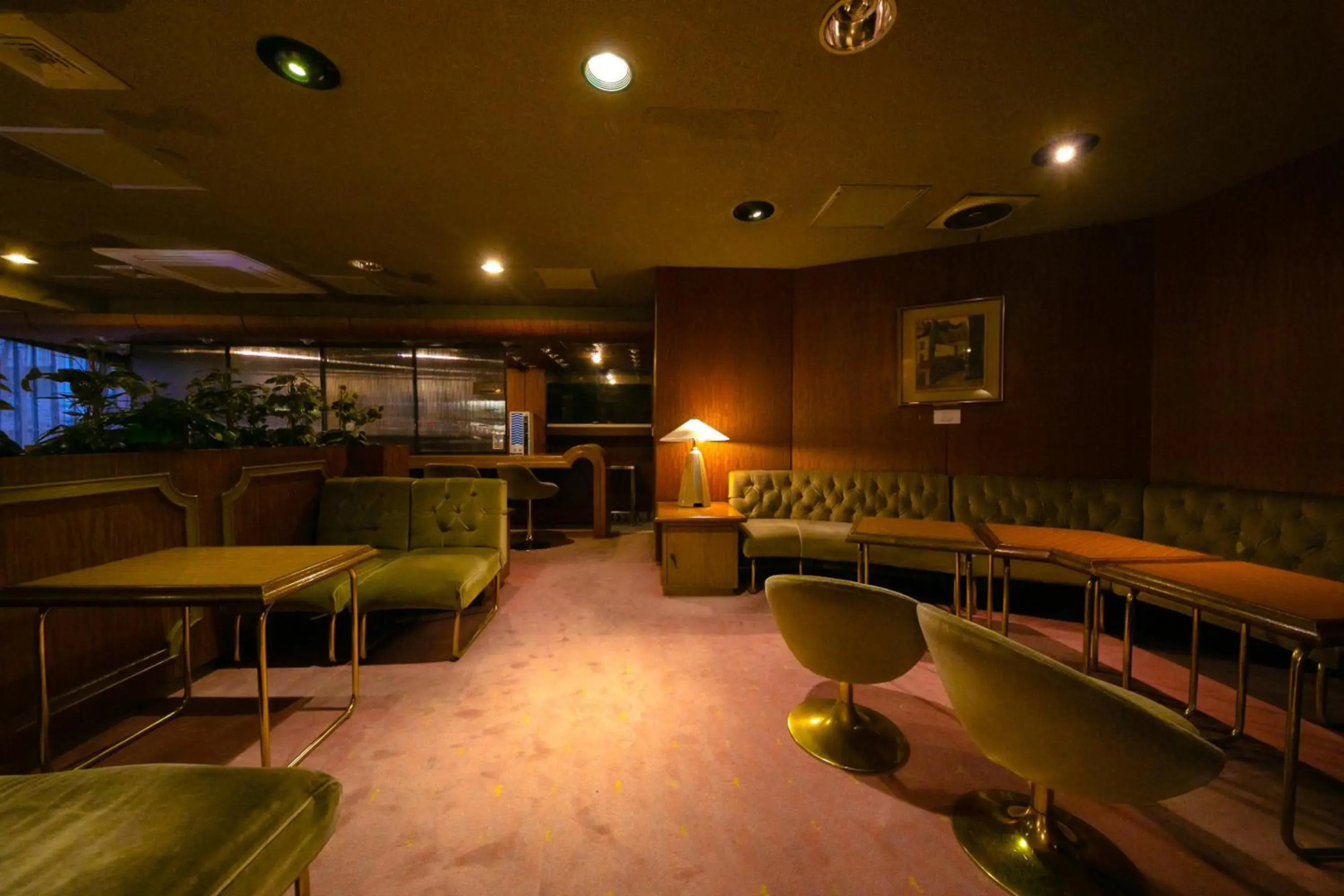 Hotel New Green