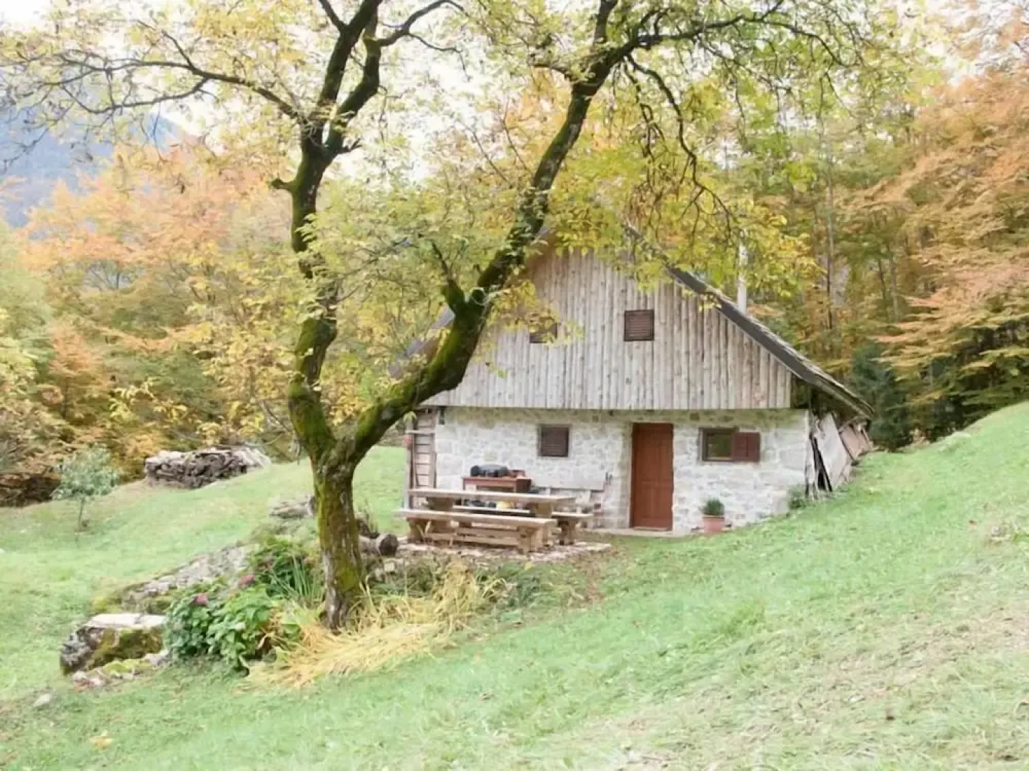 Miha lodge