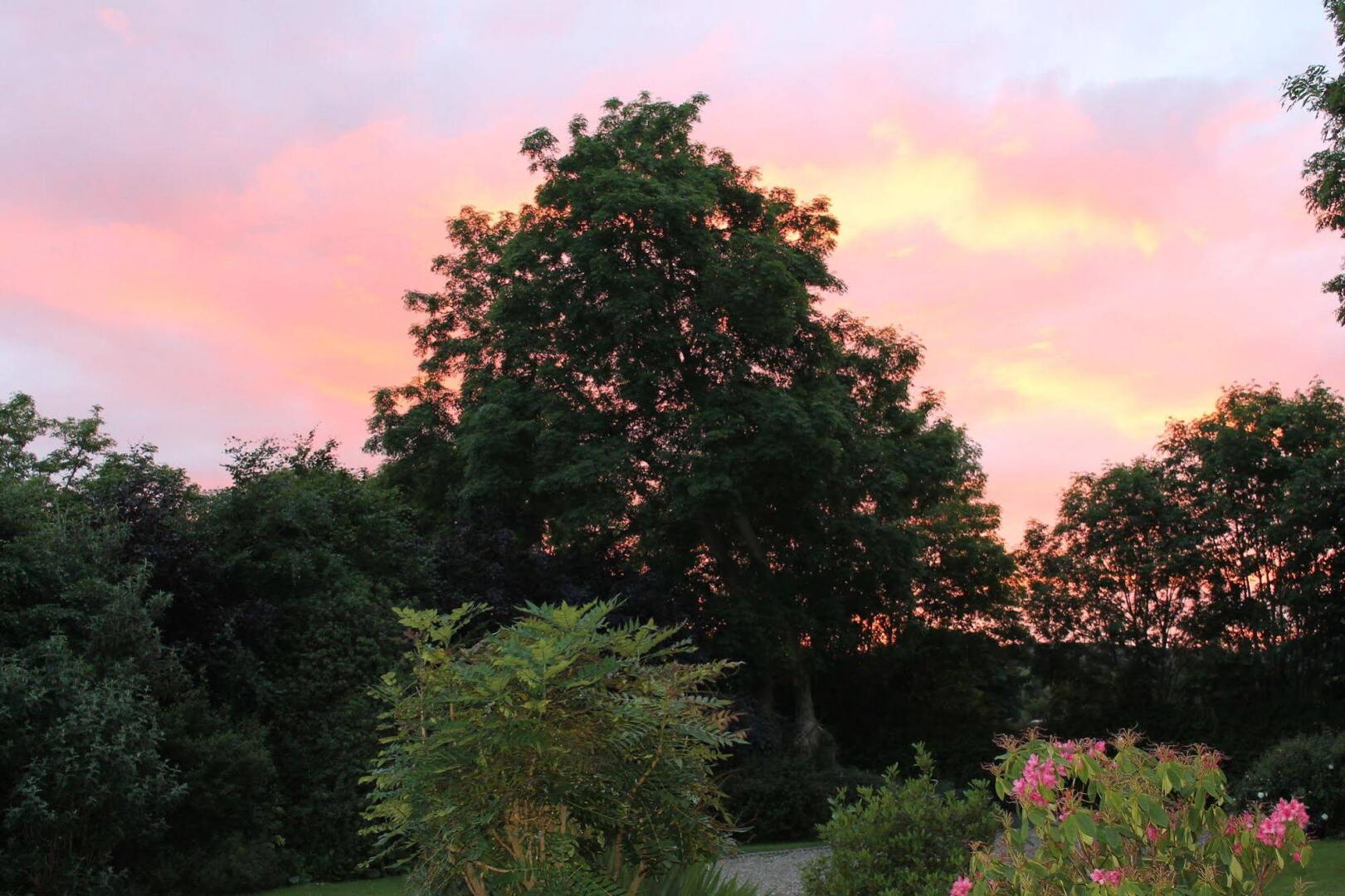 Blossom Hill Bed and Breakfast