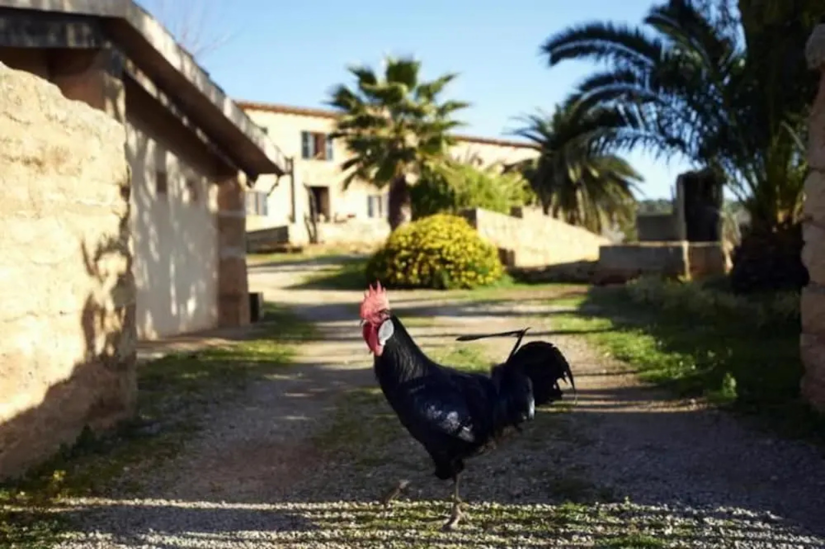 Finca Sos Ferres D'en Morey