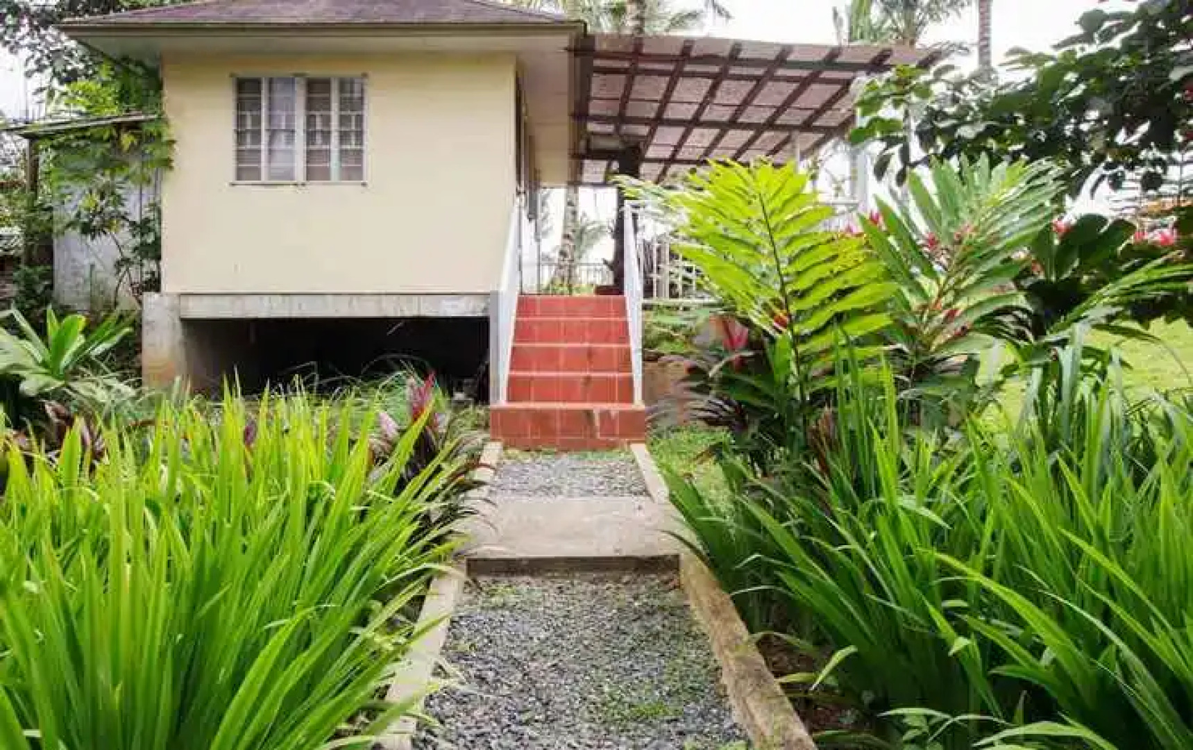 D-Zone Backpackers Inn - Hostel