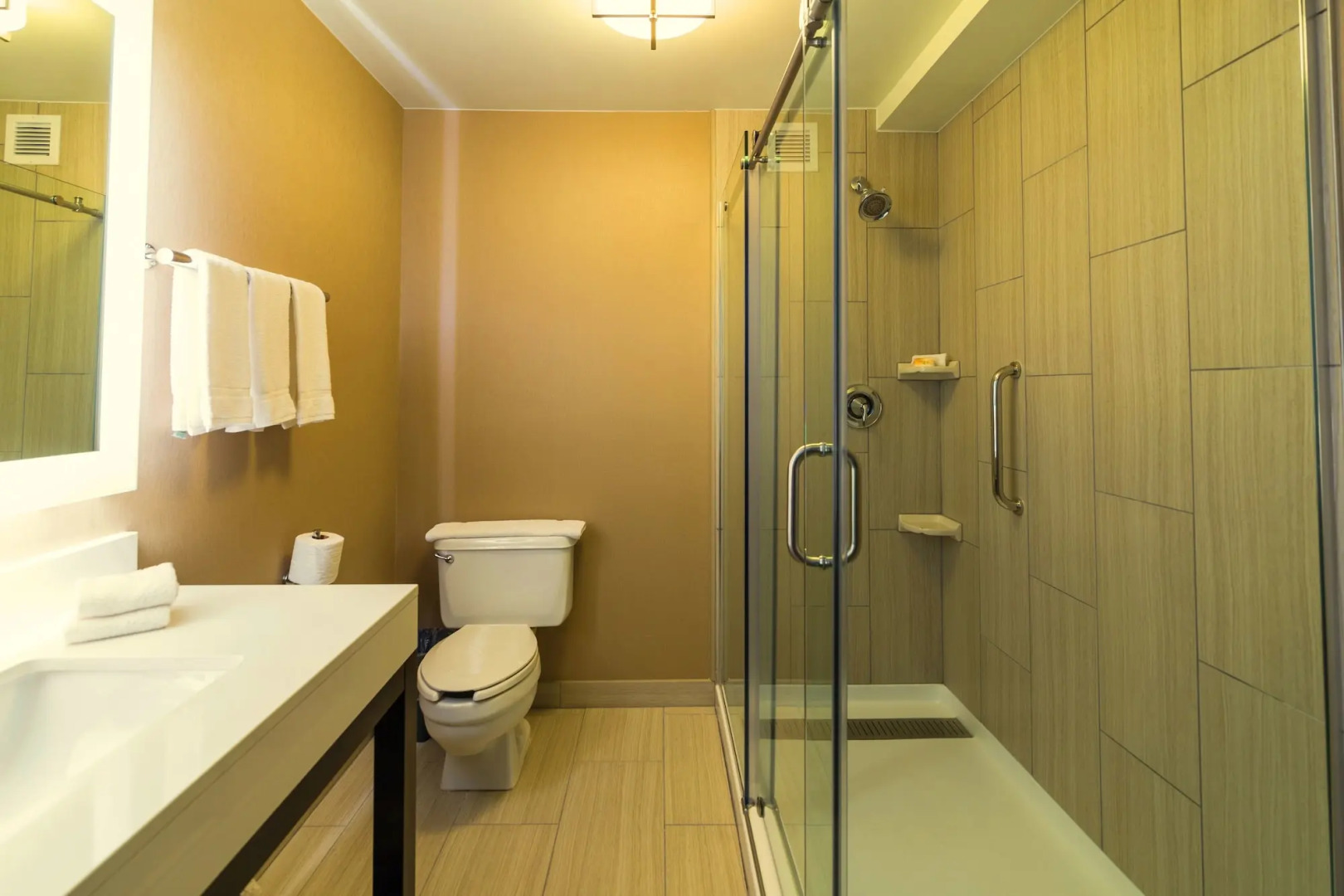 Holiday Inn Chicago SW-Countryside ConfCtr by IHG