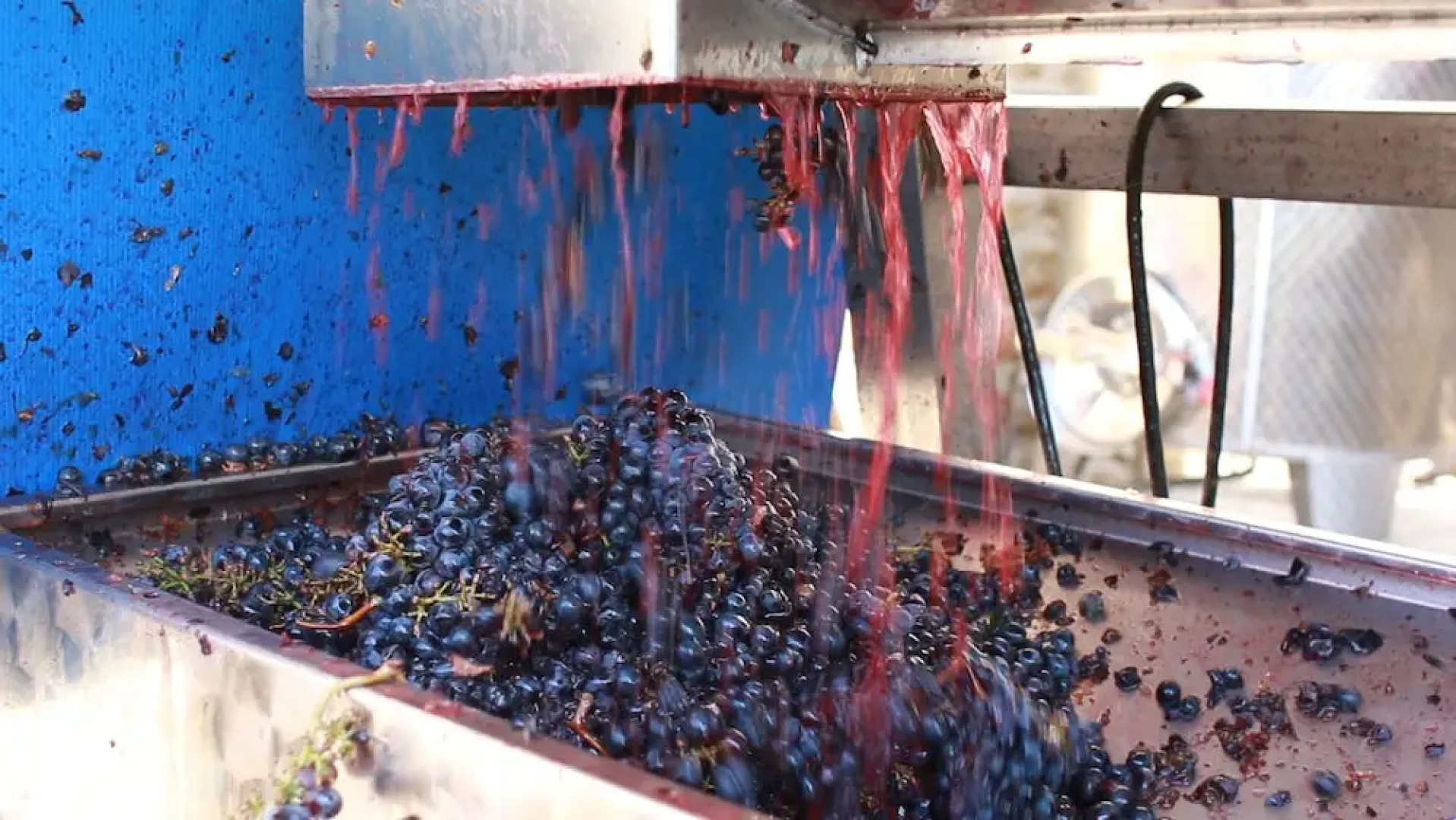 Antica Grancia di Quercecchio