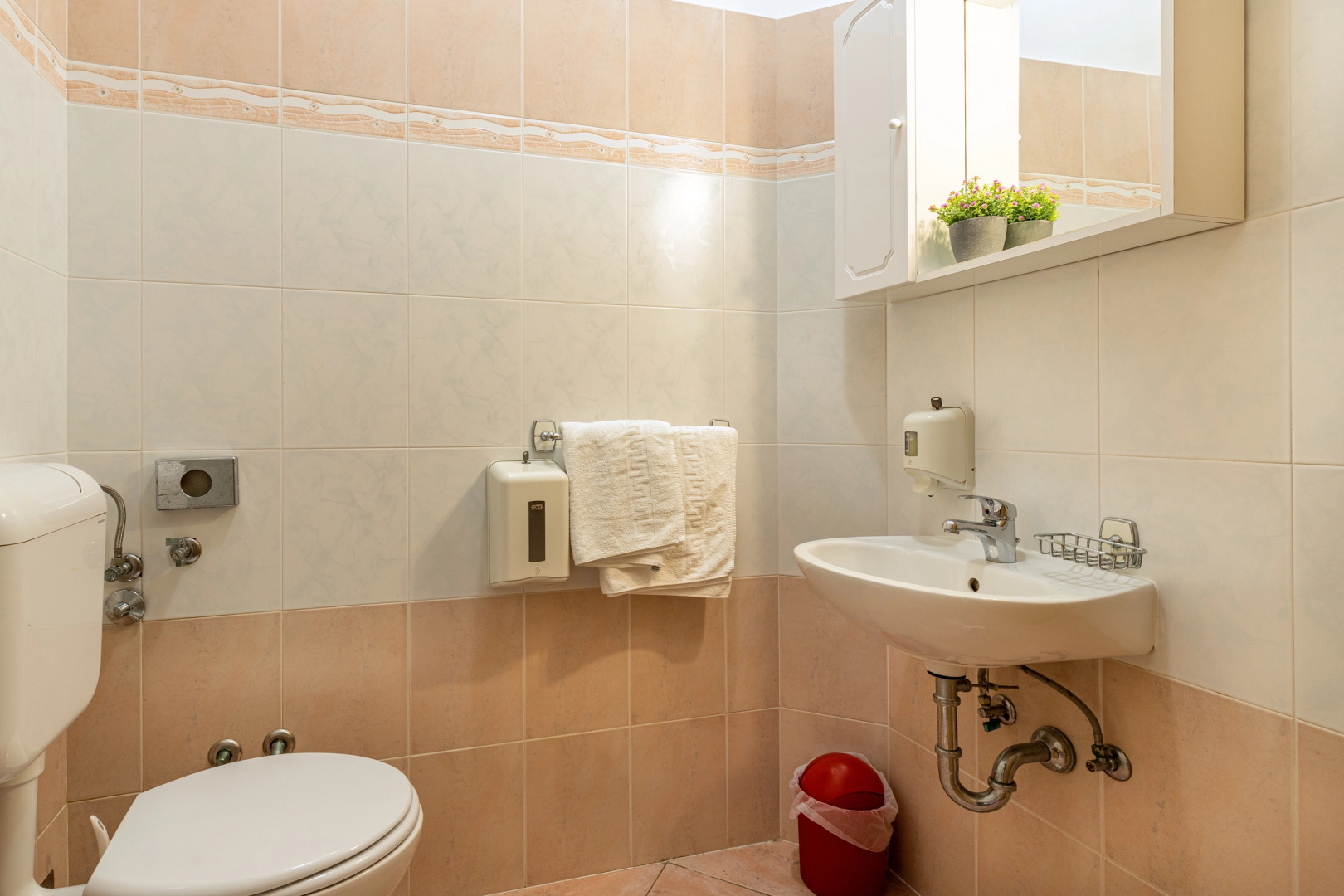 Pool Apartment Suzi 12