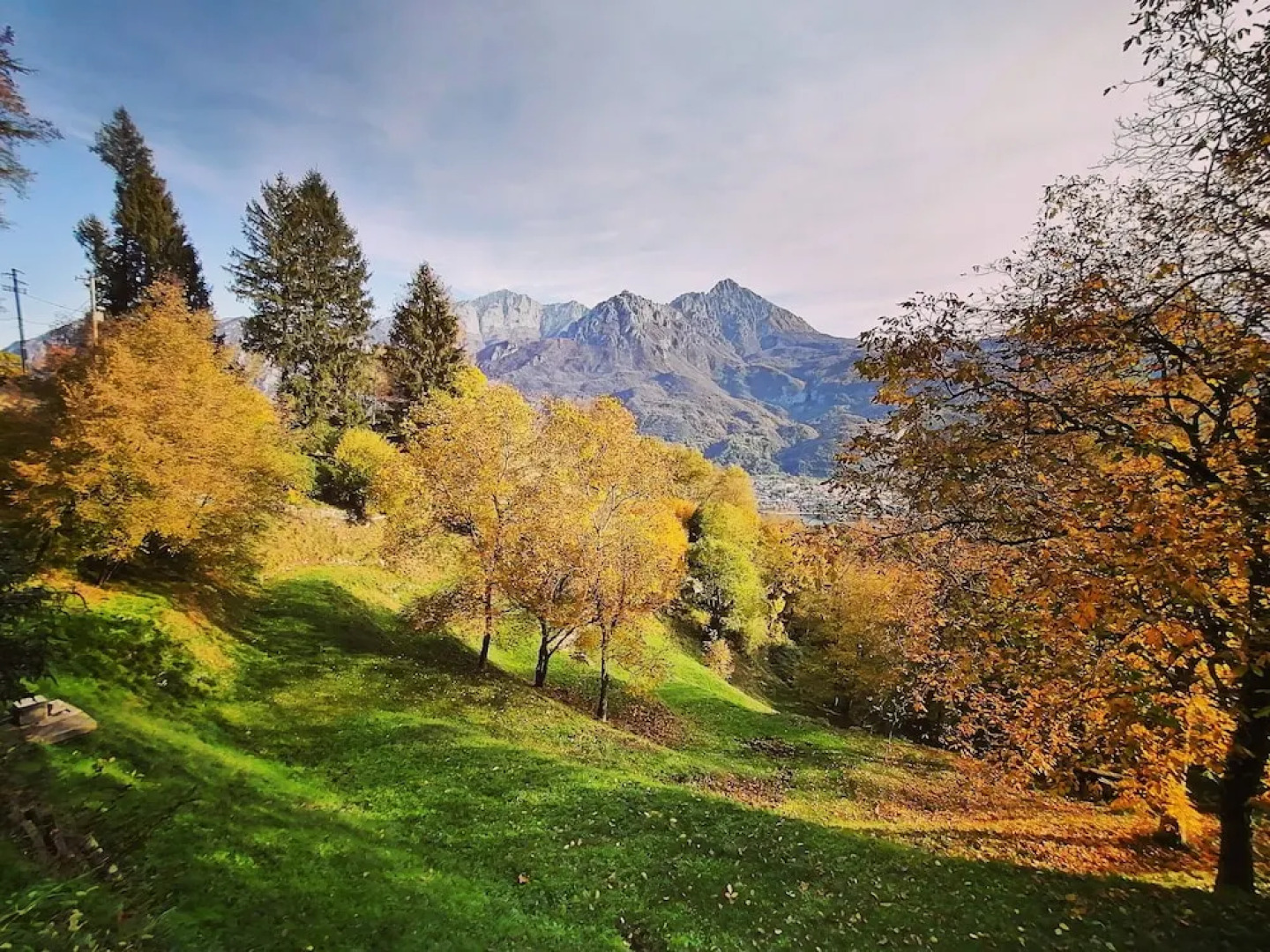 Narciso B&B Valbrona