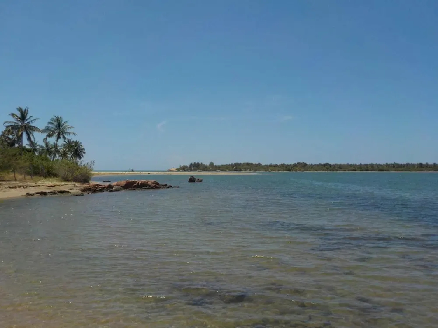 Reef Pasikudah