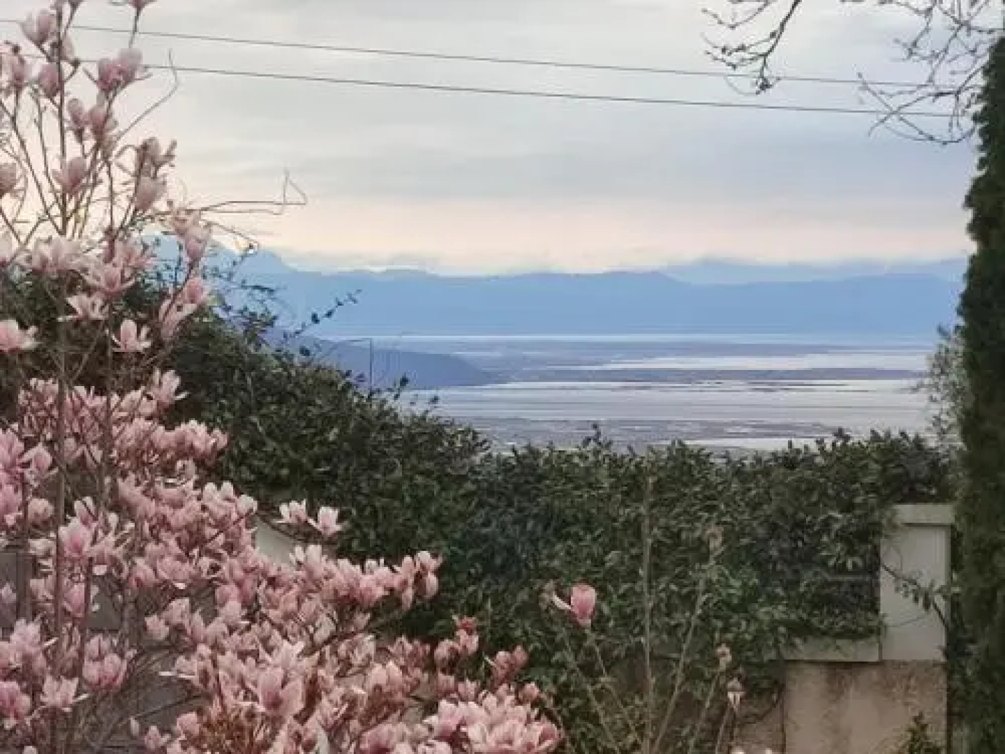 Guesthouse Michobeis