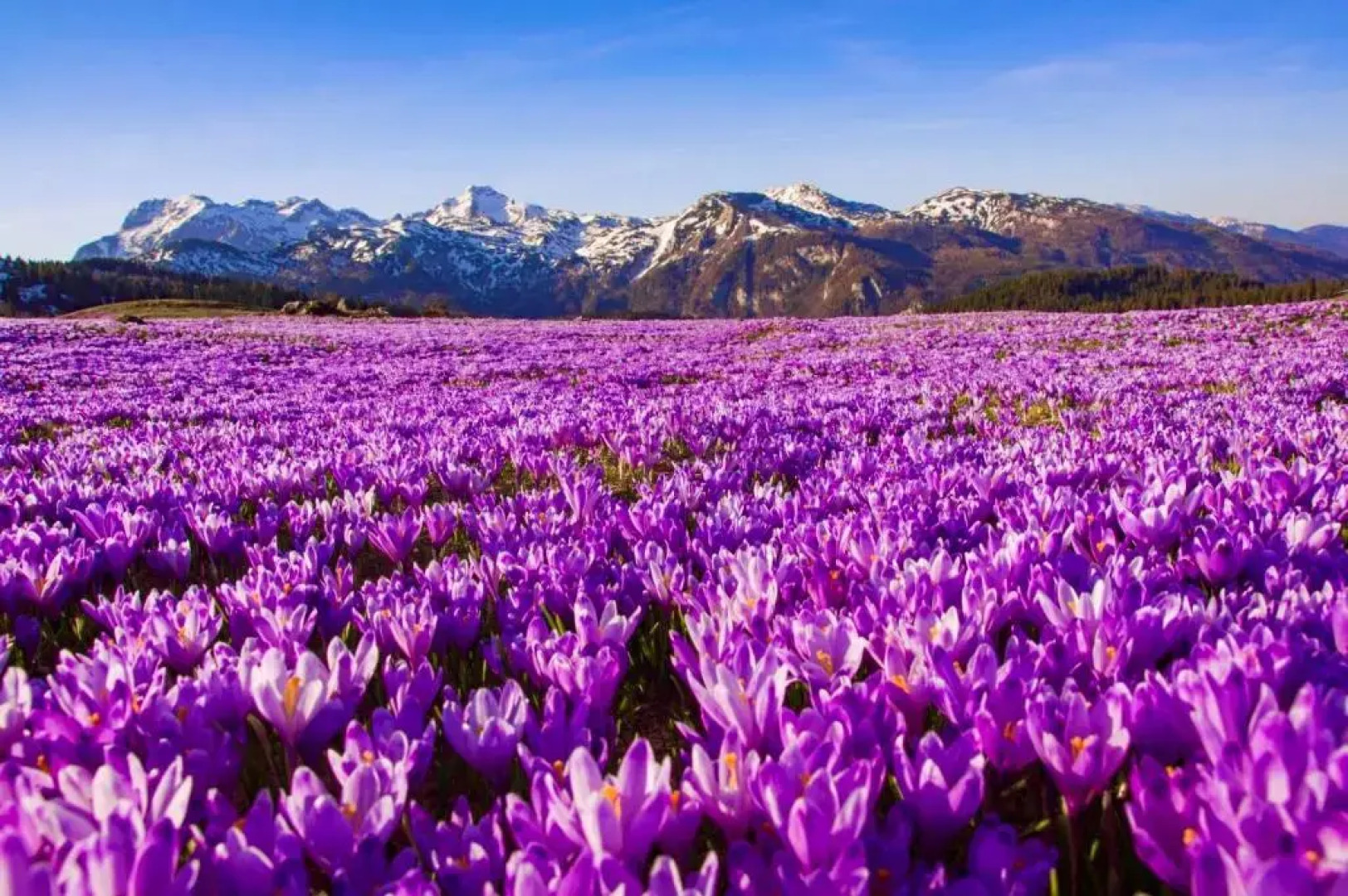 Domžalski Dom Na Mali Planini