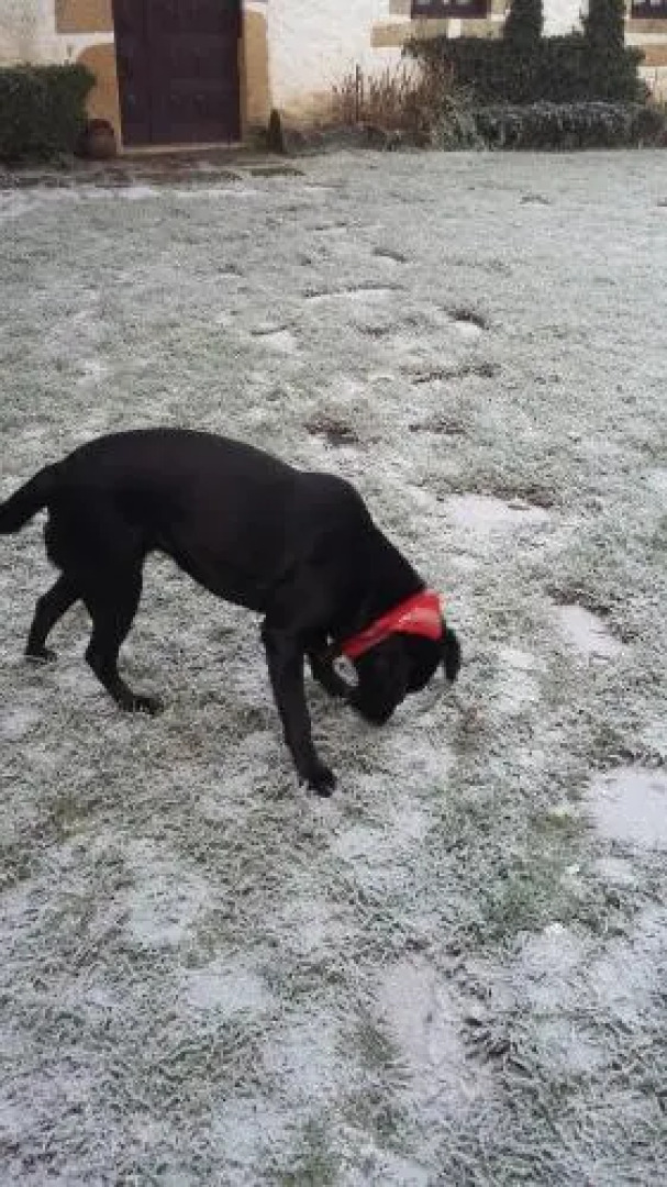 Casa da Quinta De S. Martinho