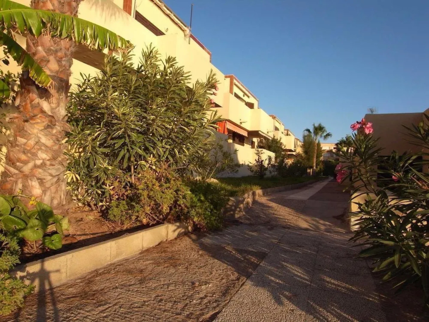 Inmovecos Optimist 2