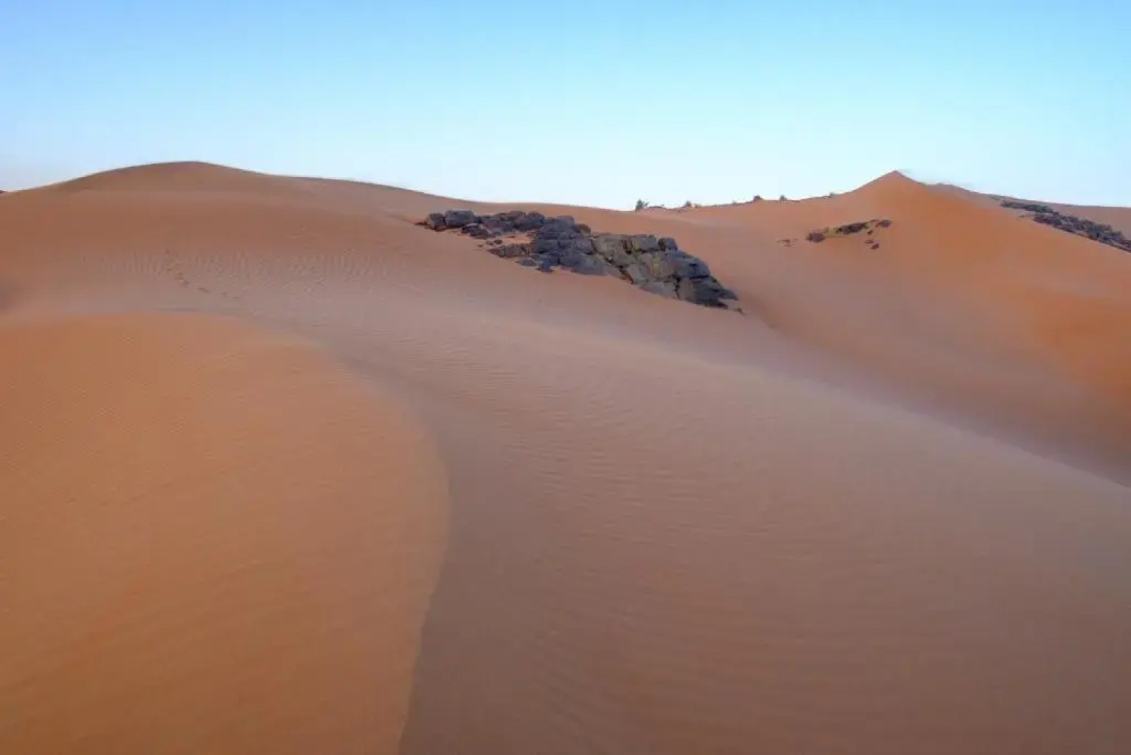 La Maison Saharaouie