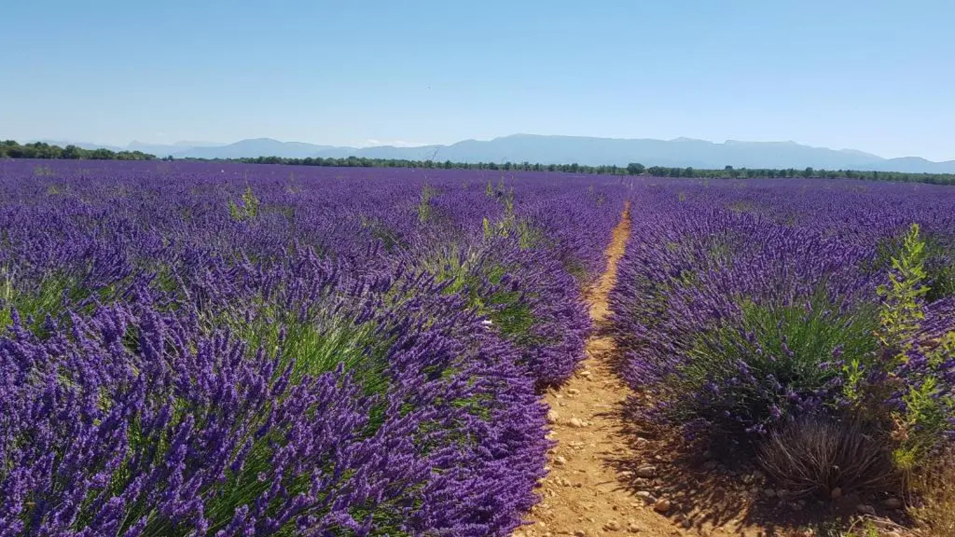 Logement tout confort au calme entre Saint Tropez et les Gorges du Verdon