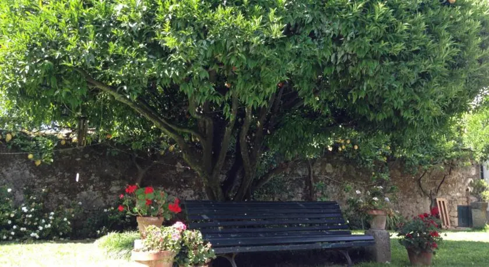 Casa do Pinheiro - Turismo de Habitação