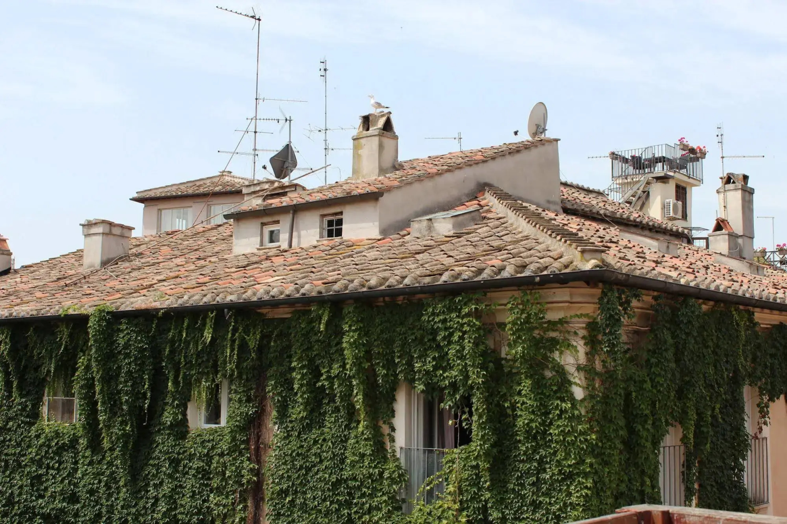 Coronari Palace