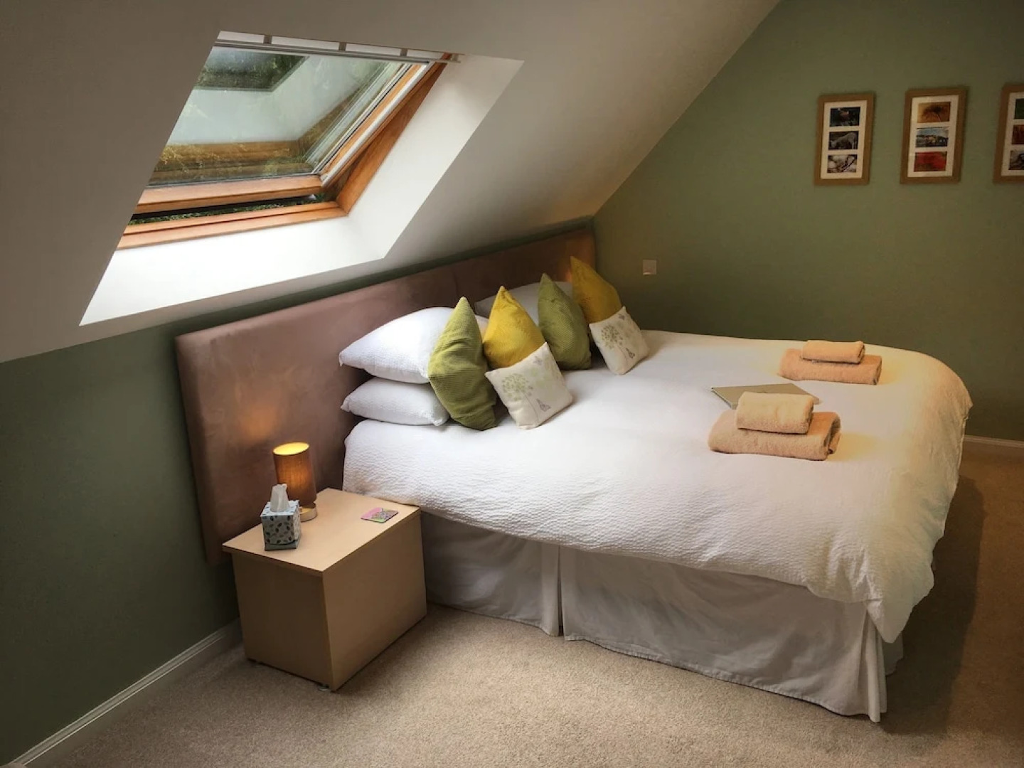 Beech Tree Lodge B&B