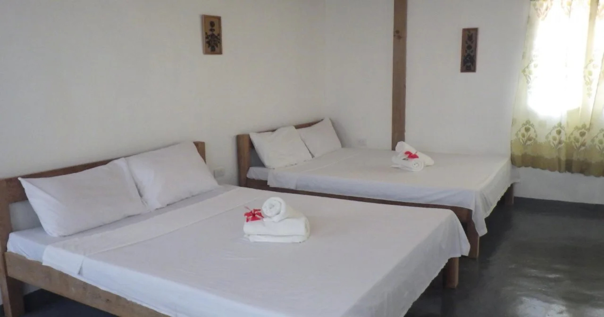 Toris Backpackers Paradise