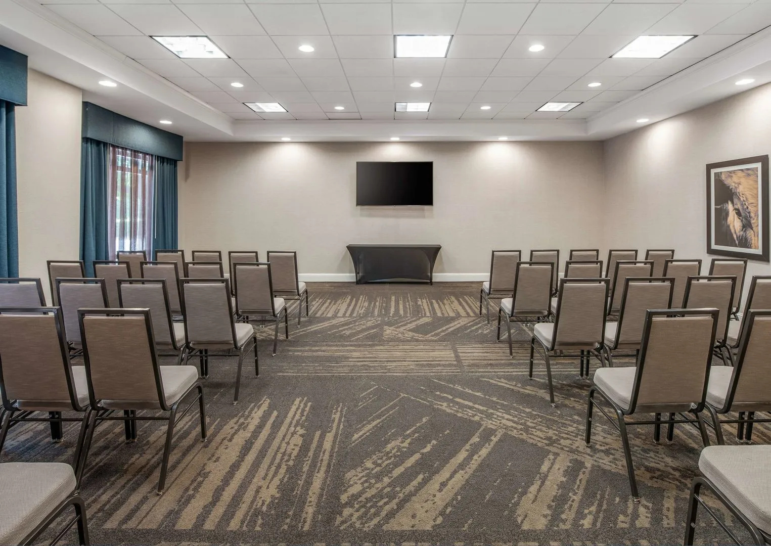Hilton Garden Inn Dallas-Allen