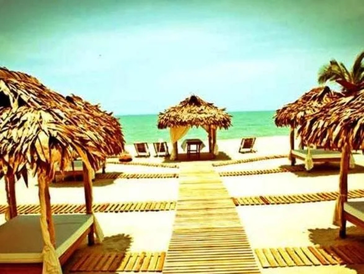 Mango de Costa Azul Hotel Boutique