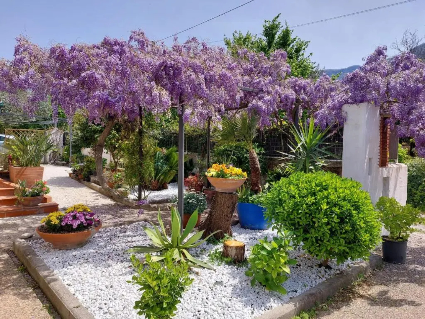 Secret pearl! Amalfi Coast, Pompei & Naples Free parking