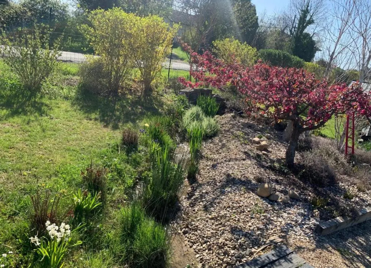 La Grenouillere (Adults Only)