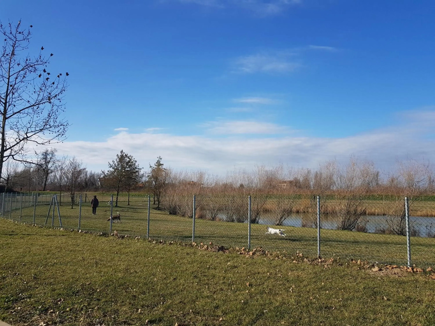 Appartamento Cà Silis