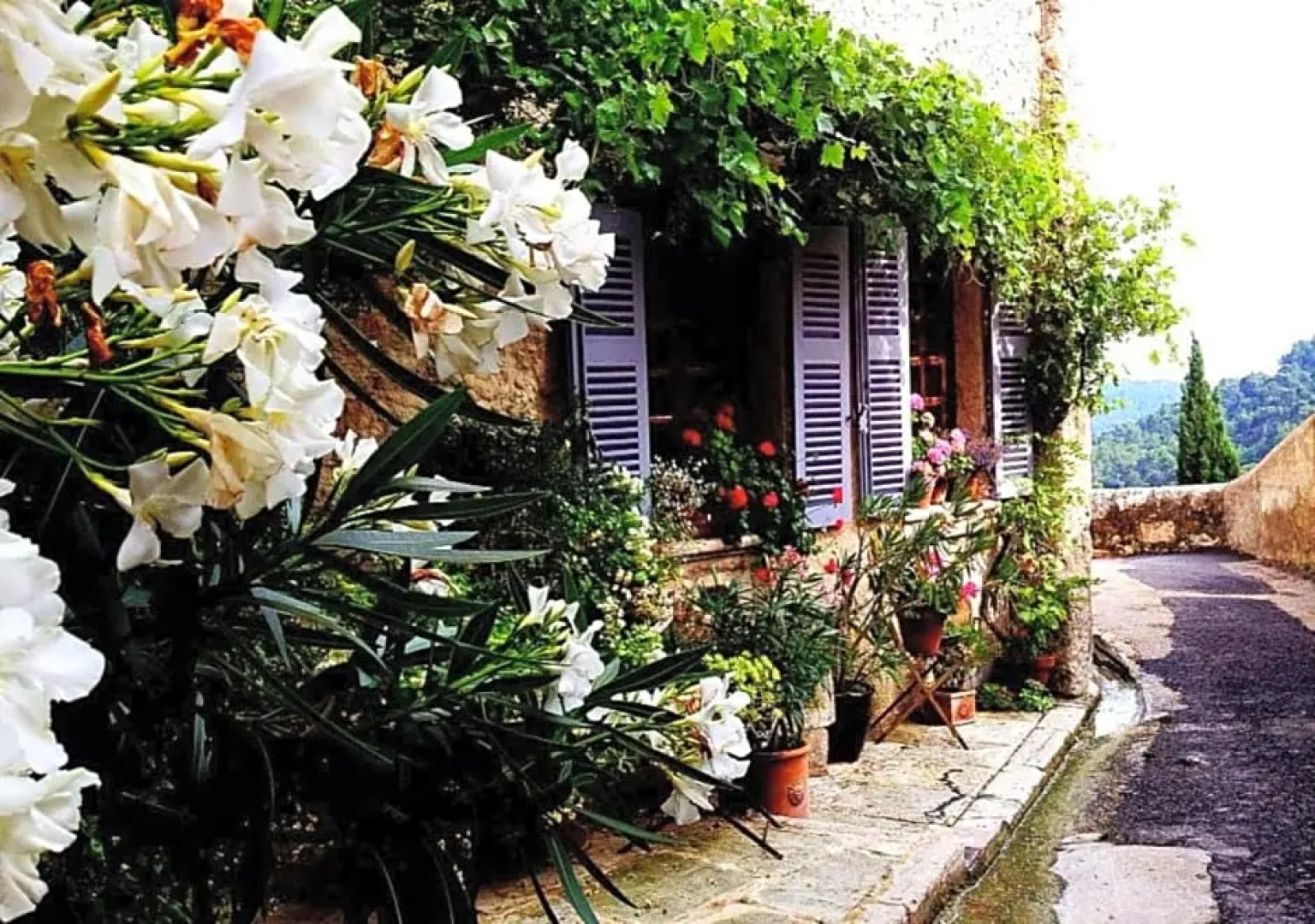 Mullers Bed & Breakfast